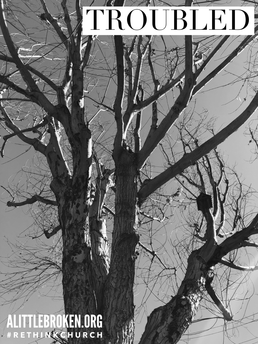 Life In Black & White: Lent 2018; March&nbsp;15th