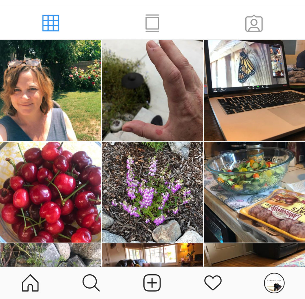 Another Trip Around the&nbsp;Sun