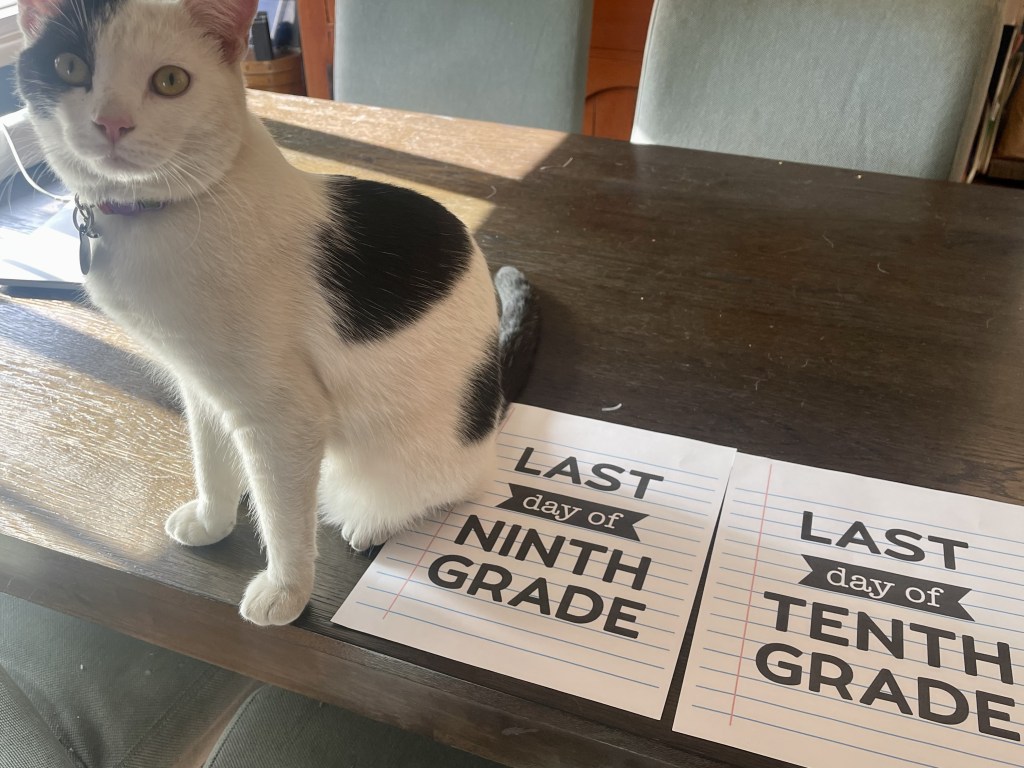 Thoughts on Afters and Nexts&nbsp;2.0